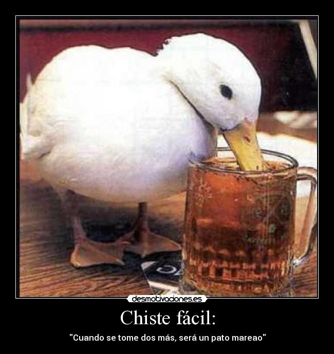 Chiste fácil: - 