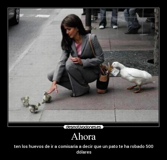 carteles desmotivaciones