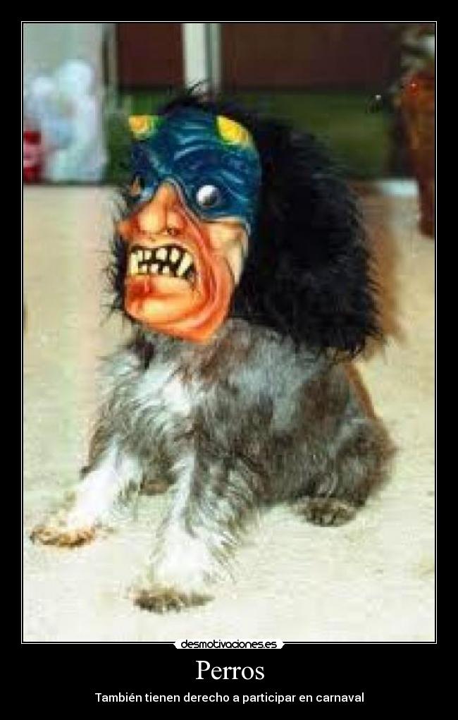 Perros - También tienen derecho a participar en carnaval