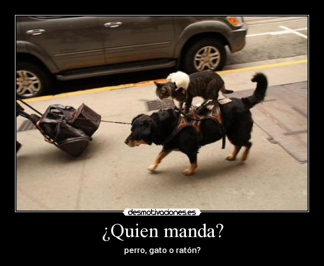 ¿Quien manda? -