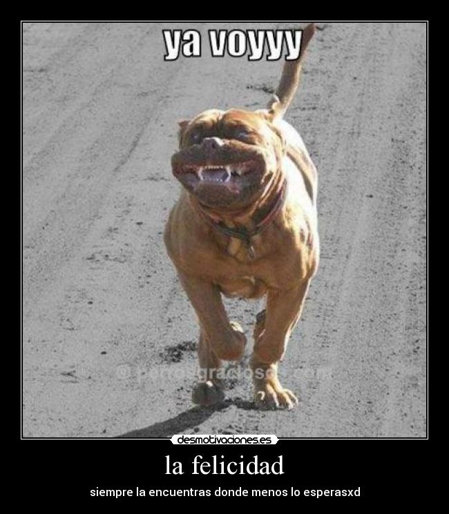 carteles felicidad ola desmotivaciones