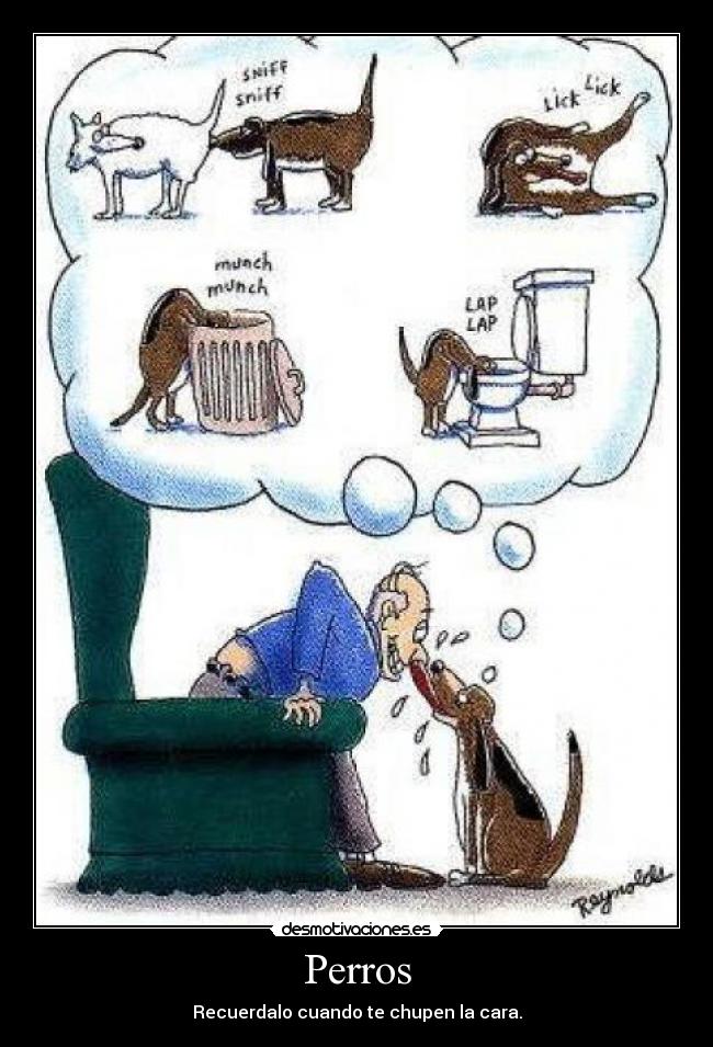 Perros