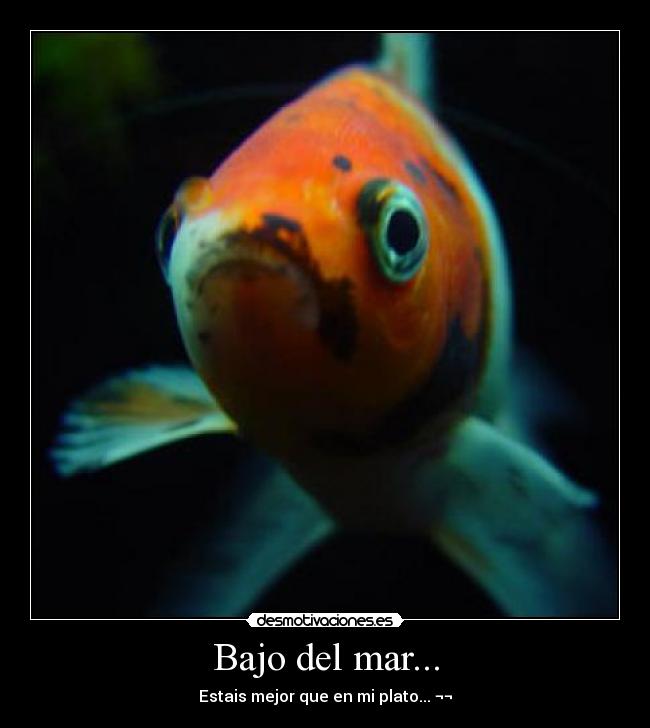 Bajo del mar... -