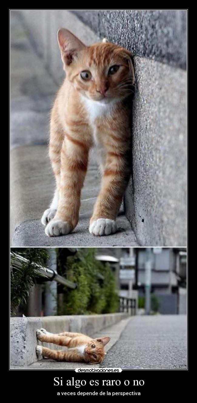 Si algo es raro o no - a veces depende de la perspectiva