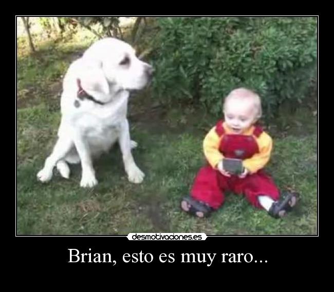 carteles padre familia stewie brian desmotivaciones