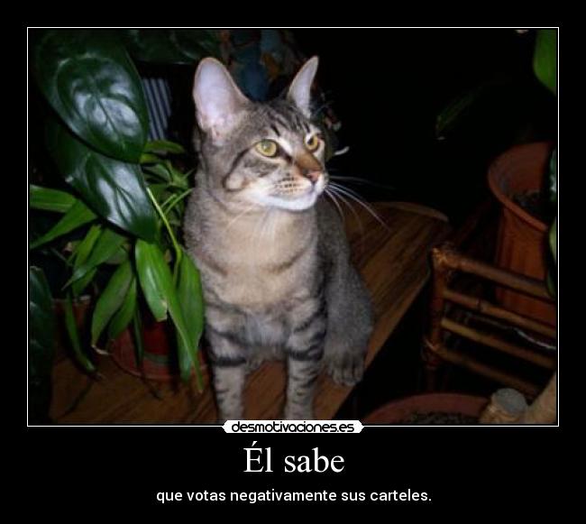 Él sabe - 