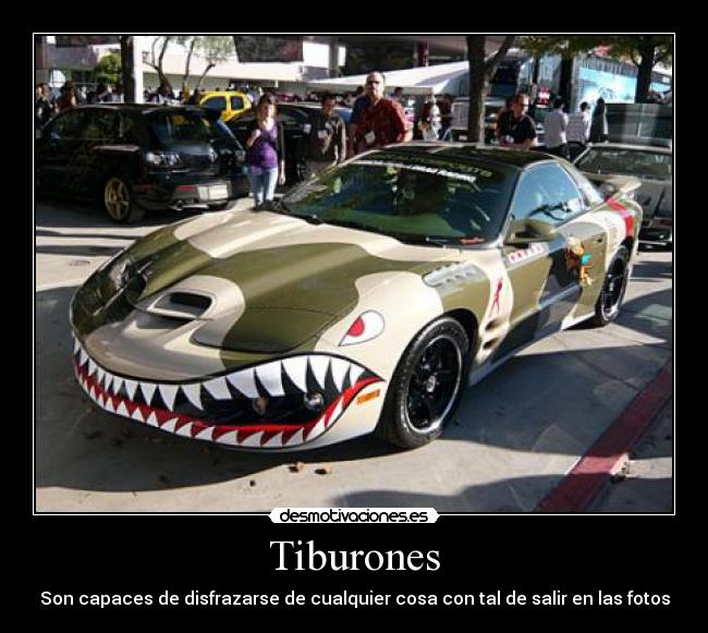 Tiburones -