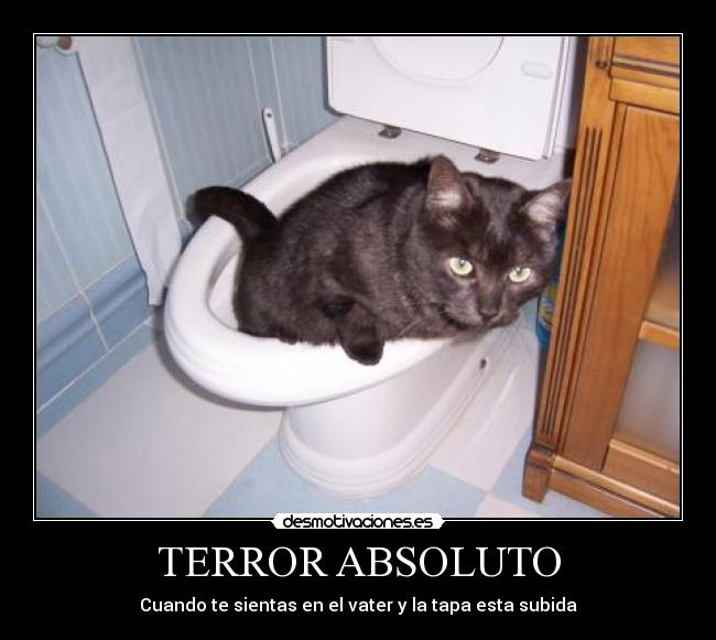 TERROR ABSOLUTO - Cuando te sientas en el vater y la tapa esta subida
