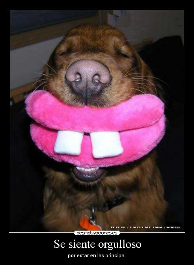 carteles viro-rope desmotivaciones