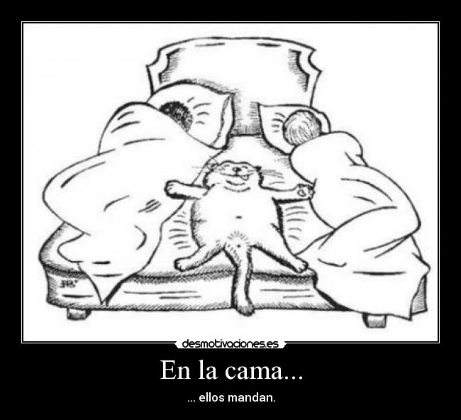 En la cama... - 