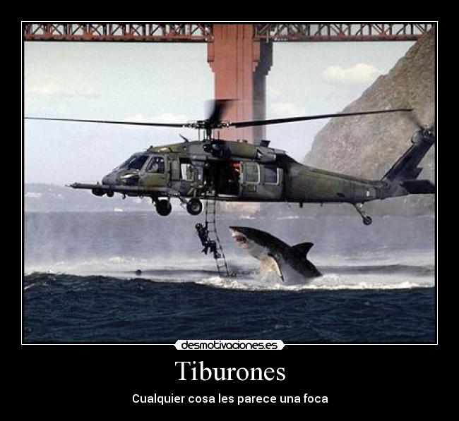 Tiburones - 