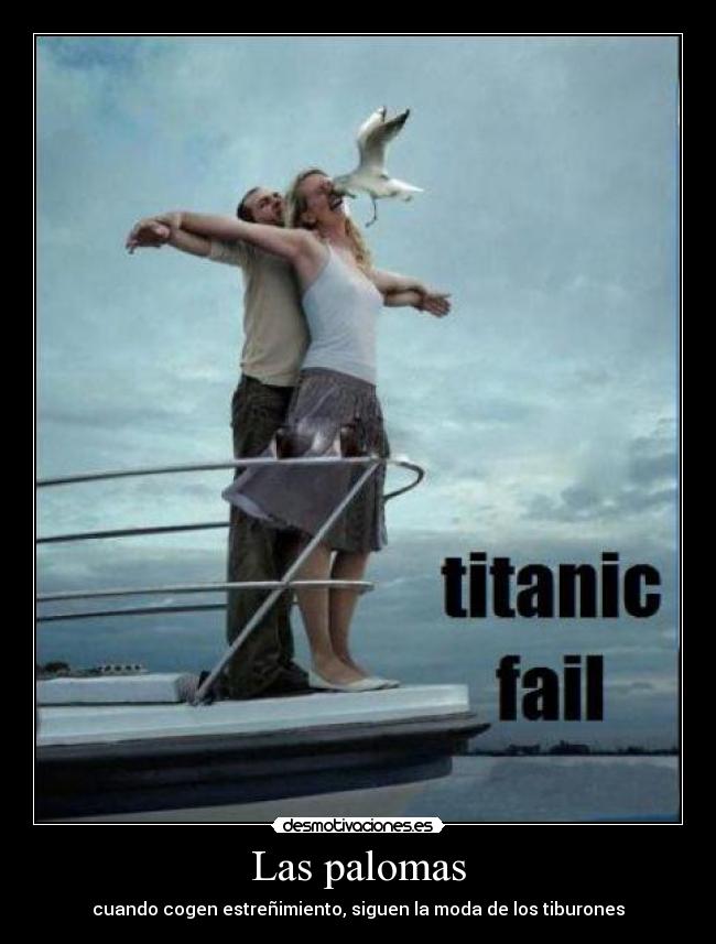 carteles palomas cogen estrenimiento siguen moda tiburones desmotivaciones