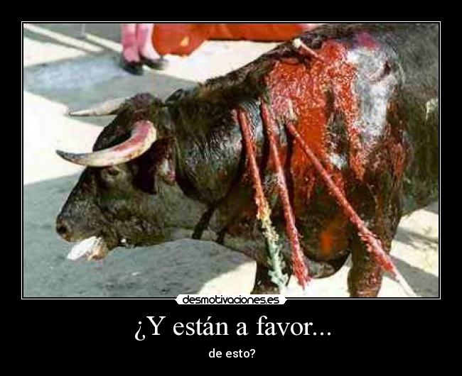 ¿Y están a favor... - 