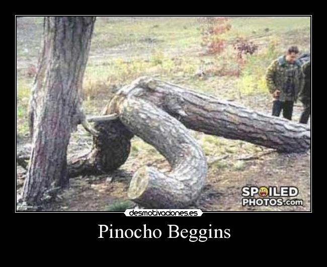 Pinocho Beggins - 