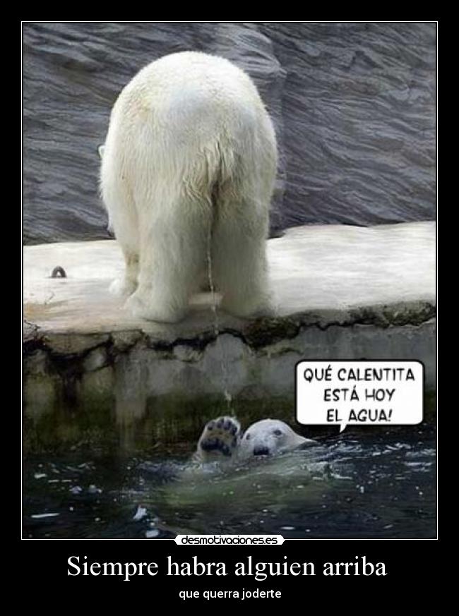 Siempre habra alguien arriba  - 