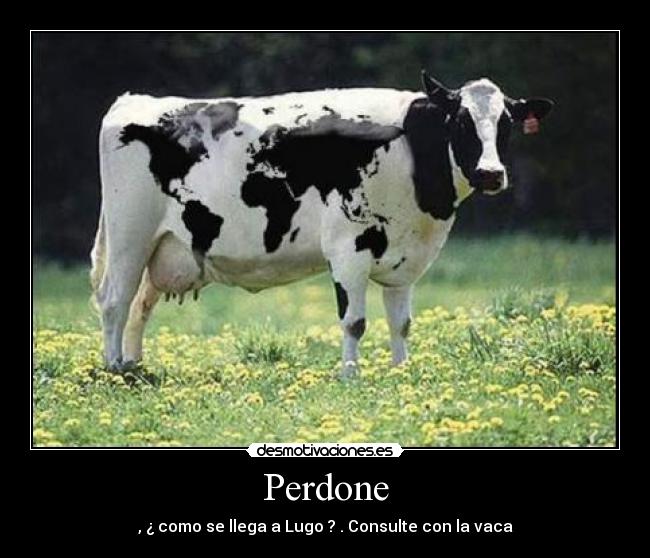 Perdone - , ¿ como se llega a Lugo ? . Consulte con la vaca
