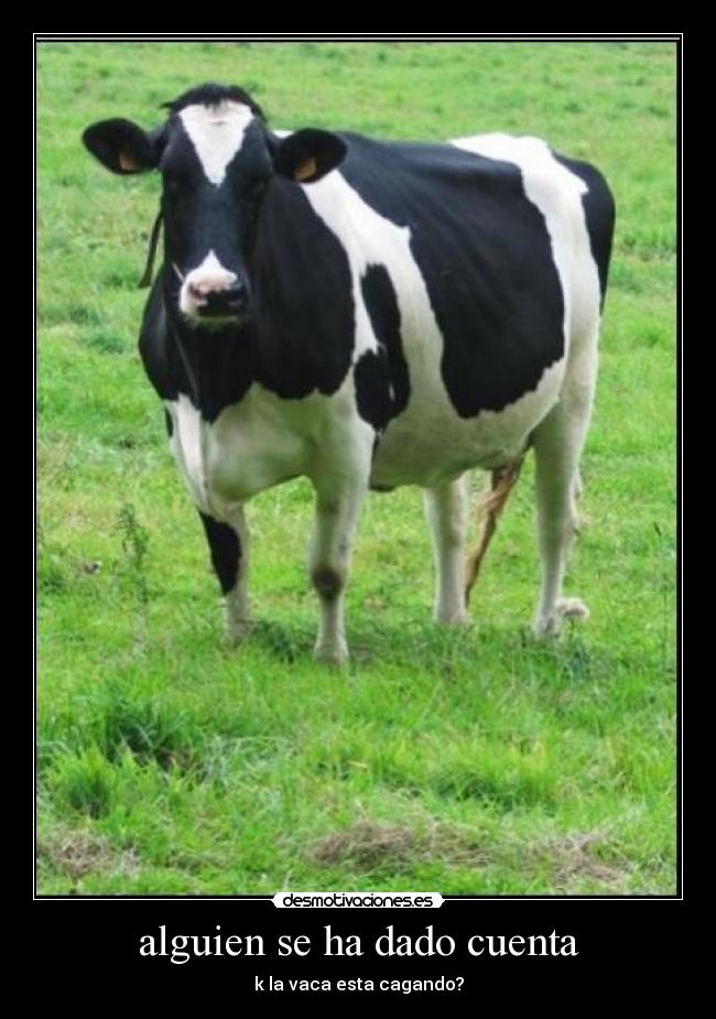 alguien se ha dado cuenta - 