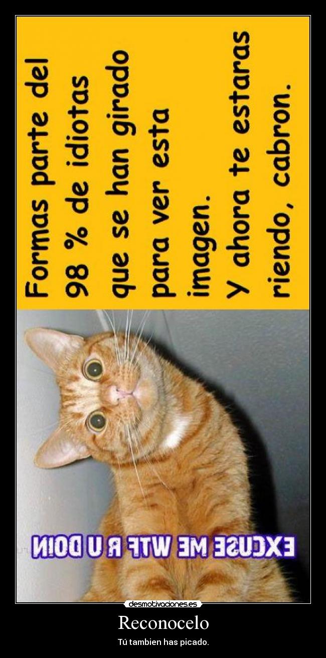 Reconocelo - Tú tambien has picado.