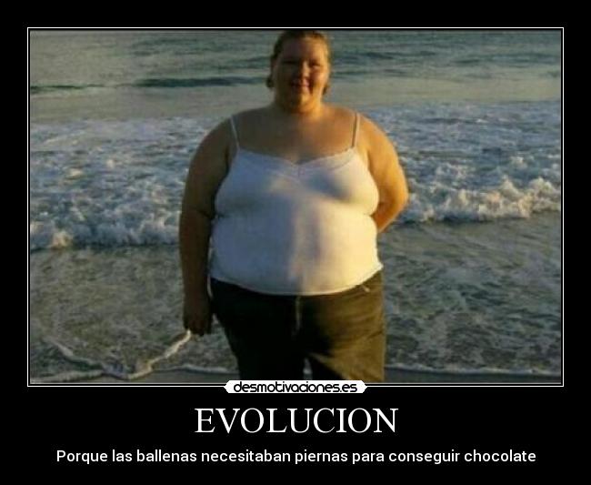 EVOLUCION - Porque las ballenas necesitaban piernas para conseguir chocolate