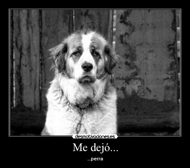 Me dejó... -