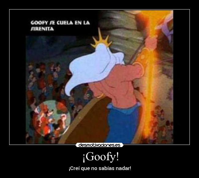 ¡Goofy! -
