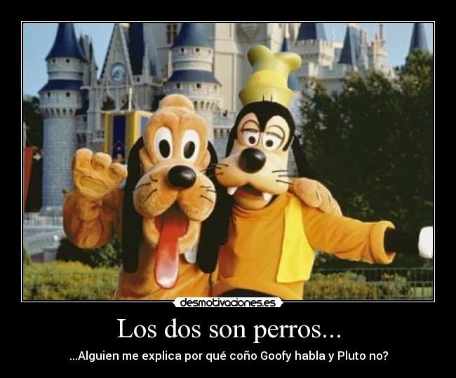 Los dos son perros... -