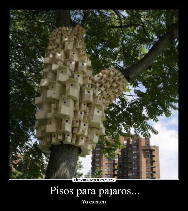 Pisos para pajaros... - Ya existen