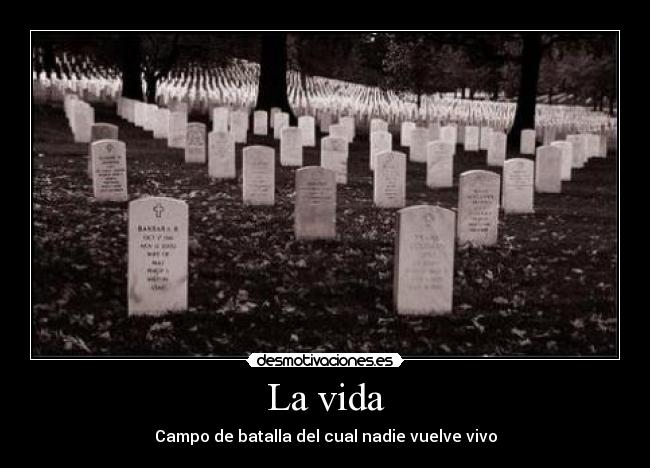 carteles vida fotos internet desmotivaciones