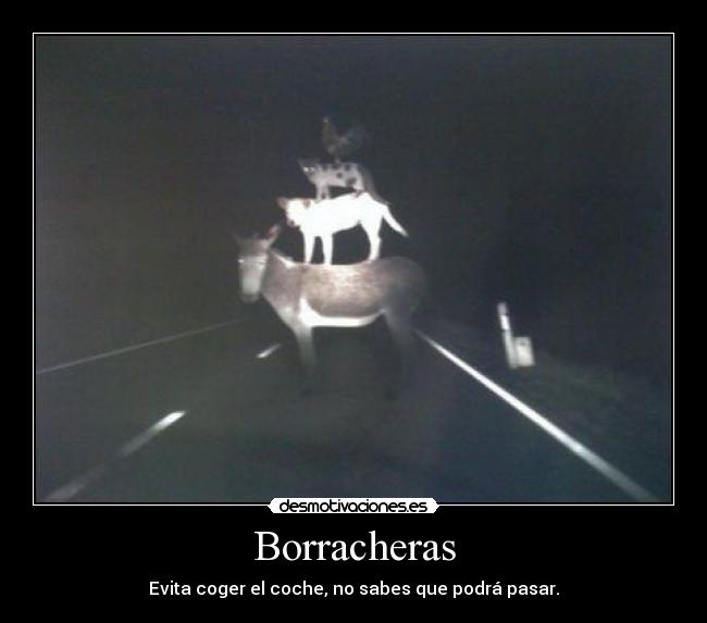 Borracheras - Evita coger el coche, no sabes que podrá pasar.