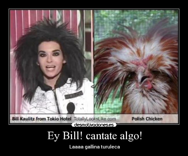 carteles tokio hotel bill gallina desmotivaciones