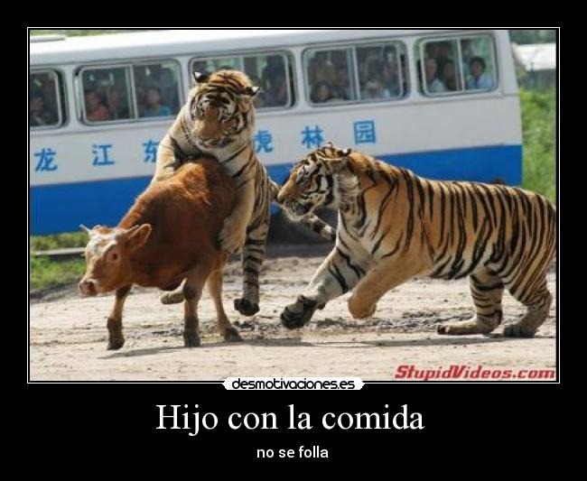 Hijo con la comida -