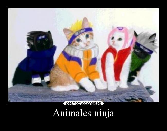 carteles animales animales naruto ninjas desmotivaciones