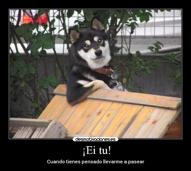¡Ei tu! -