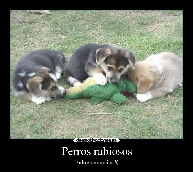 carteles desmotivaciones