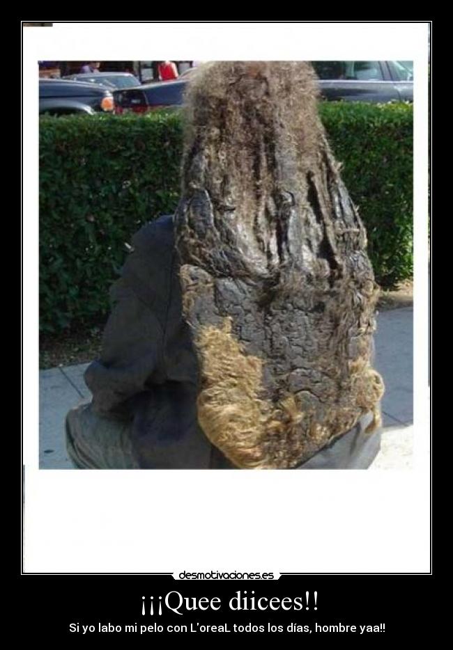 carteles pelos limpiitooss desmotivaciones