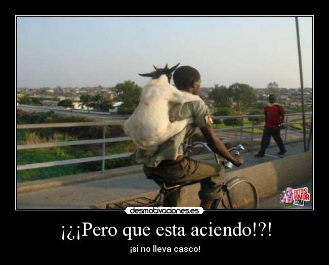 ¡¿¡Pero que esta aciendo!?! - 