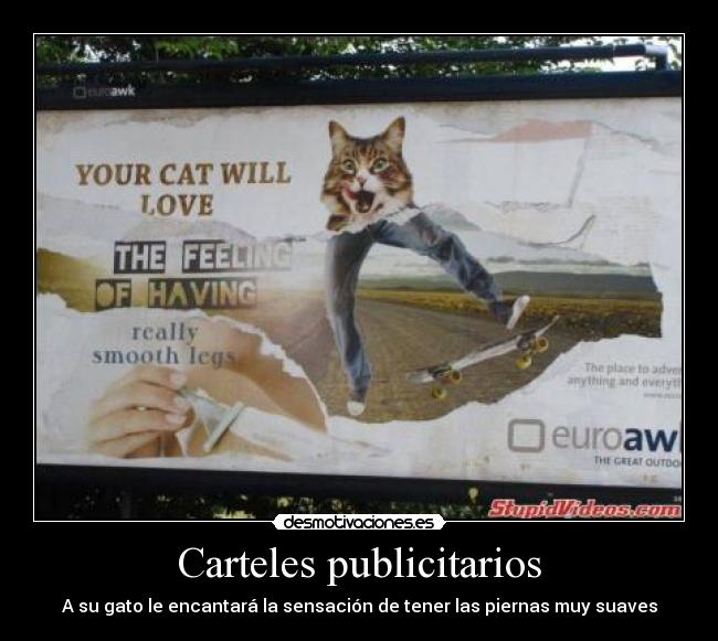 Carteles publicitarios - A su gato le encantará la sensación de tener las piernas muy suaves