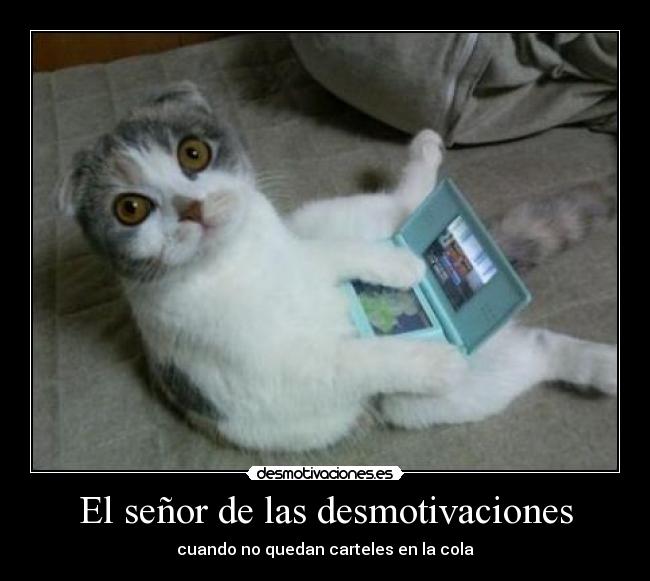 carteles desmotivaciones americanidiot desmotivaciones