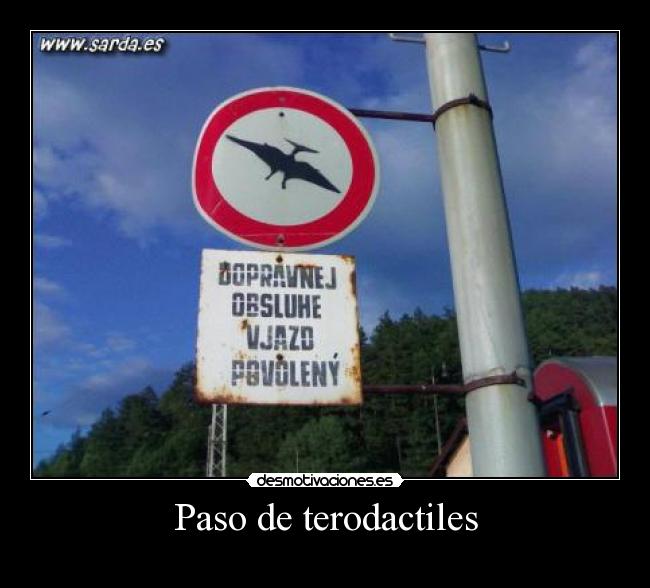 Paso de terodactiles -