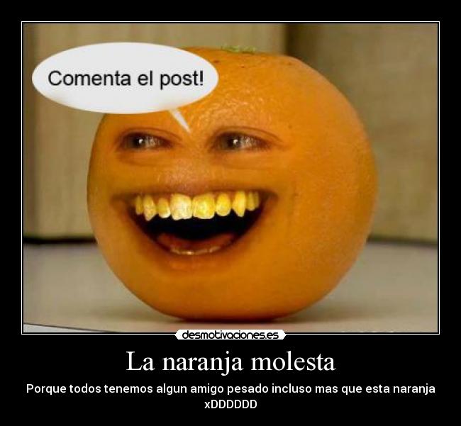 La naranja molesta - Porque todos tenemos algun amigo pesado incluso mas que esta naranja
xDDDDDD