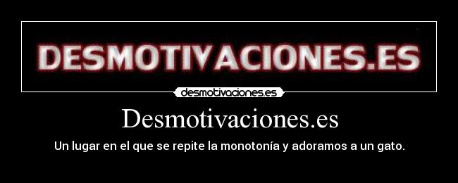 carteles gato adorar desmotivaciones lugar bla bla bla desmotivaciones