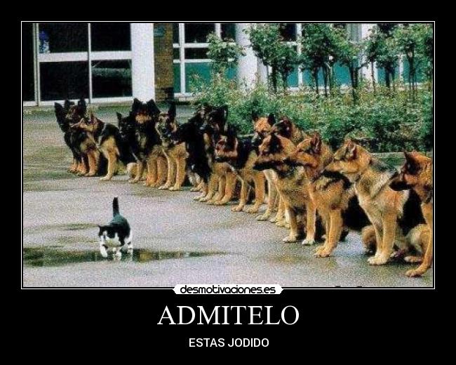 ADMITELO - ESTAS JODIDO