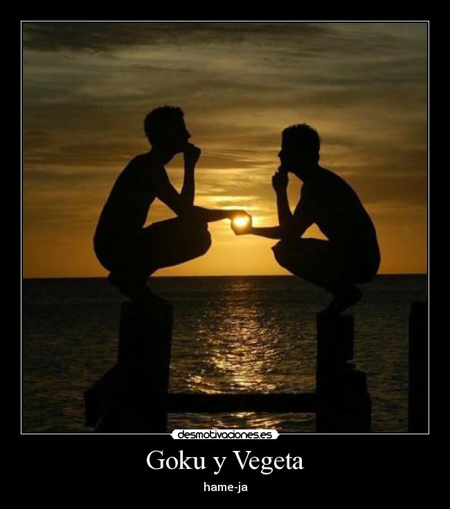 Goku y Vegeta - 