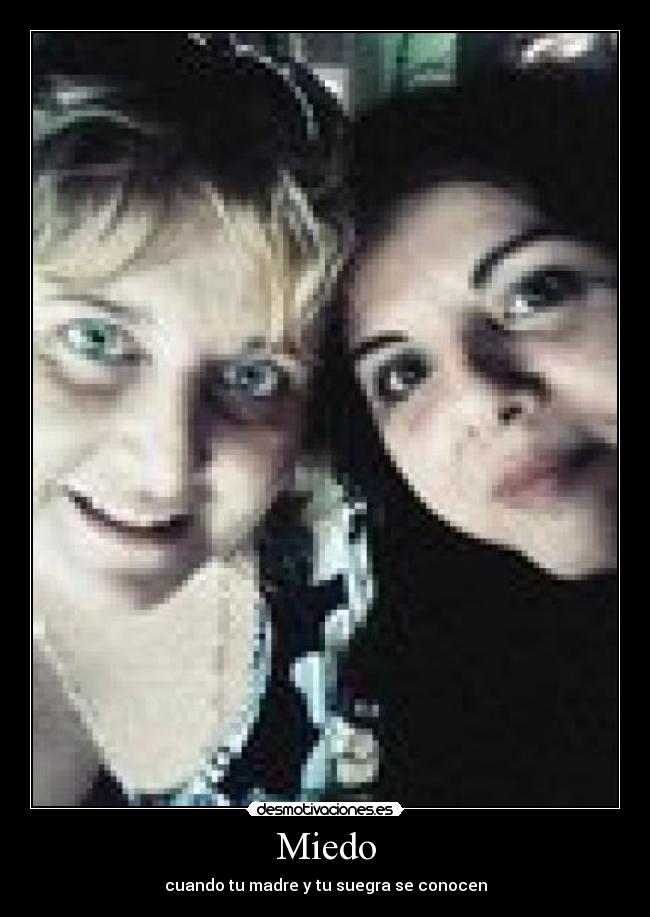 carteles miedo miedo madre suegra desmotivaciones