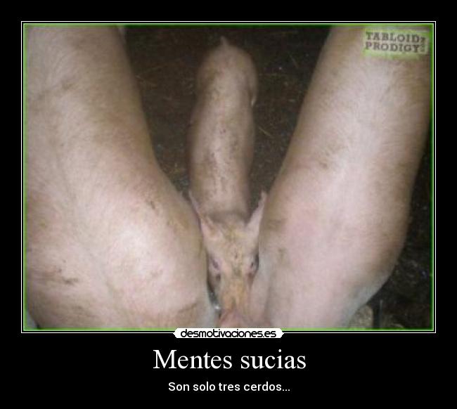 carteles cerdos mentes sucias desmotivaciones