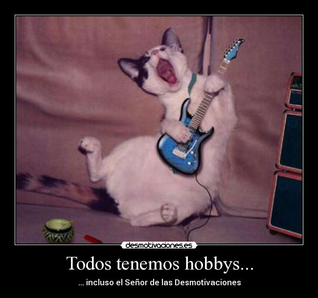 Todos tenemos hobbys... -