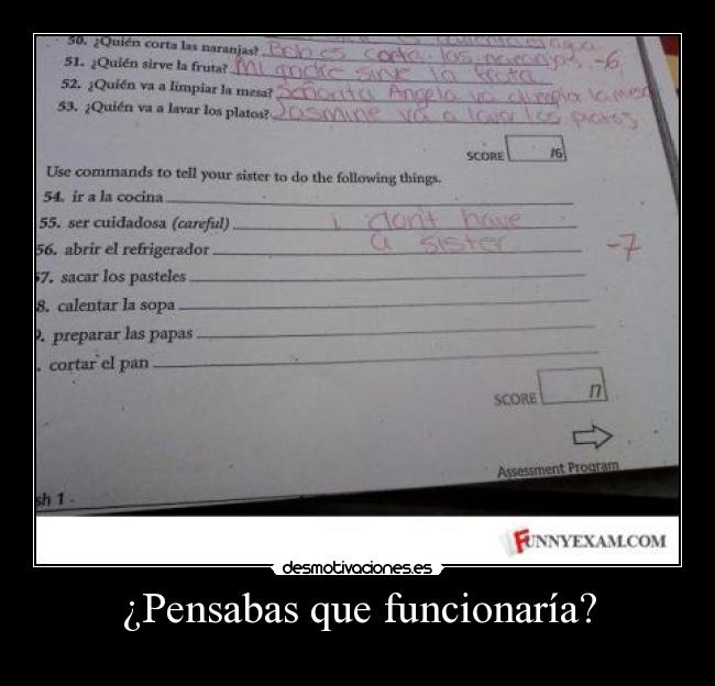 ¿Pensabas que funcionaría? - 