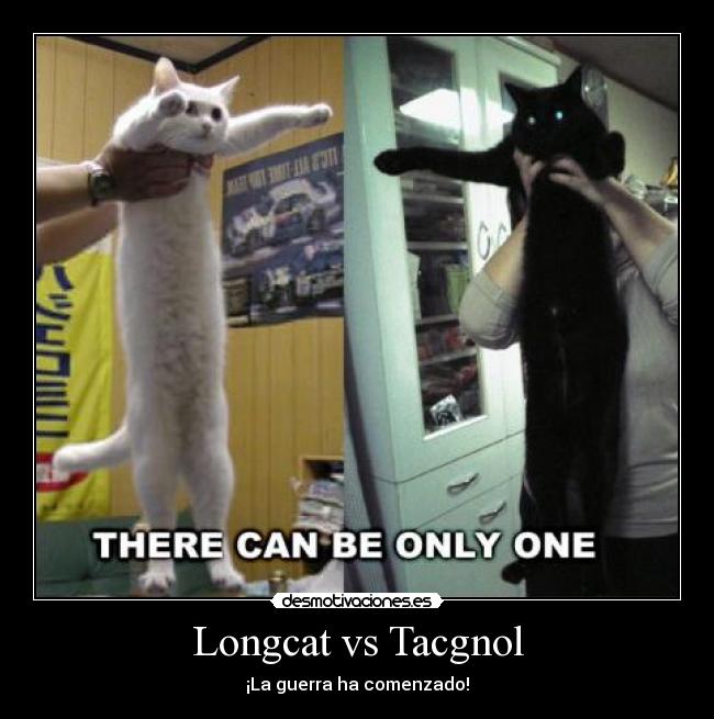 Longcat vs Tacgnol - 