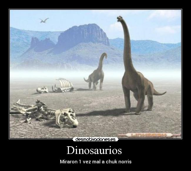Dinosaurios  - Miraron 1 vez mal a chuk norris