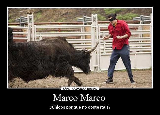 carteles ostias desmotivaciones